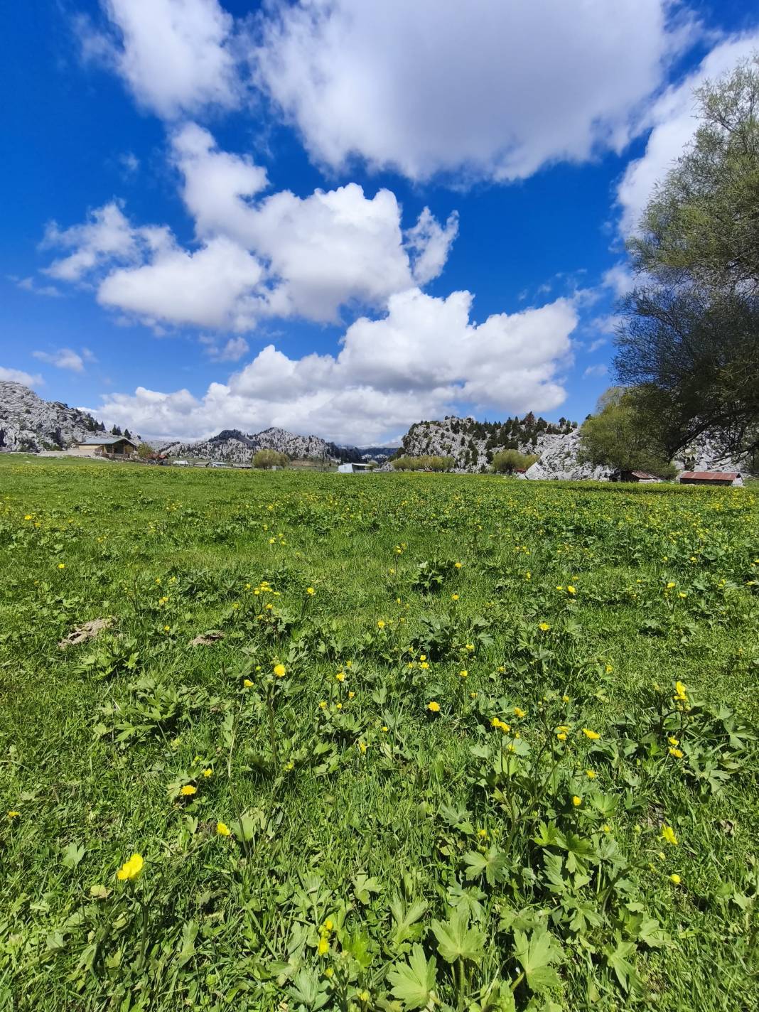 Konya’nın ünlü yaylasında baharın renkli yüzü çıktı 2